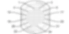 D030 - GIUNZIONE PORTA ANTERIORE LATO GUIDA (POSTERIORE) Alfa Romeo 159 1.9 JTD 8V  Da 01/06