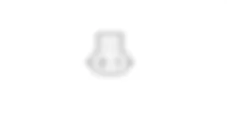 L010 - ELETTROVALVOLA RECUPERO VAPORI COMBUSTIBILE (MOTORE) Alfa Romeo 159 1.9 JTS  Da 01/06