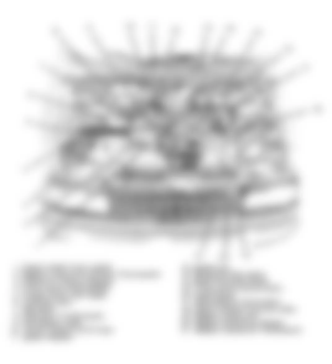 Audi 90 Quattro 1990 - Component Locations -  Component Locations (4 Of 4)