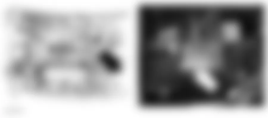 Audi TT Quattro 2000 - Component Locations - Locating Main Battery Fuse Box