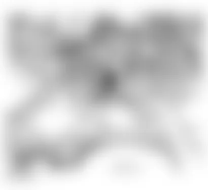 Audi A6 2003 - Component Locations -  Identifying Engine Code Location (4.2L - BAS)