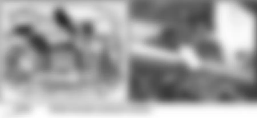 Audi allroad Quattro 2005 - Component Locations -  Rear Of Engine Compartment