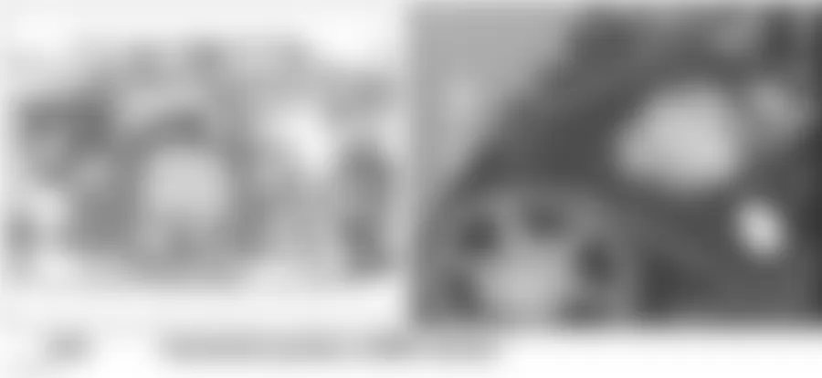 Audi allroad Quattro 2005 - Component Locations -  Front Of Right Cylinder Head