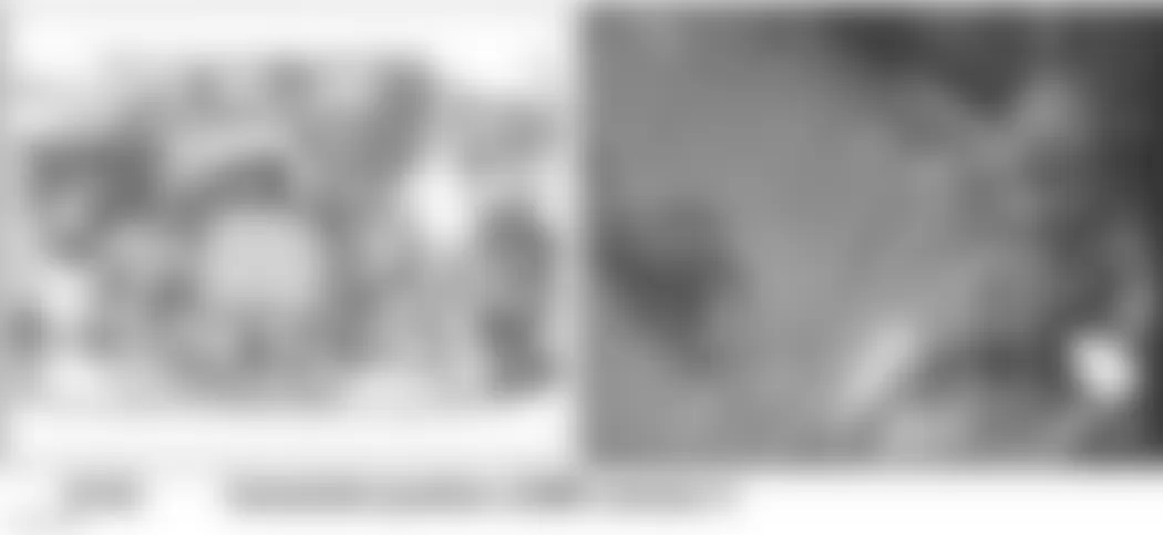 Audi allroad Quattro 2005 - Component Locations -  Rear Of Left Cylinder Head