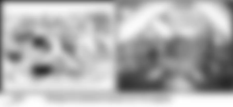 Audi allroad Quattro 2005 - Component Locations -  Top Front Of Engine (2.7L)