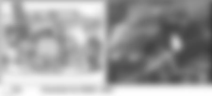 Audi allroad Quattro 2005 - Component Locations -  Right Rear Of Engine Compartment