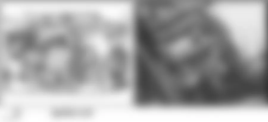 Audi allroad Quattro 2005 - Component Locations -  Front Of Engine Compartment