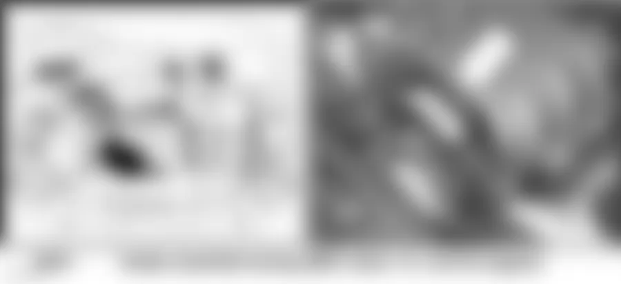 Audi allroad Quattro 2005 - Component Locations -  Front Of Engine (3.0L)