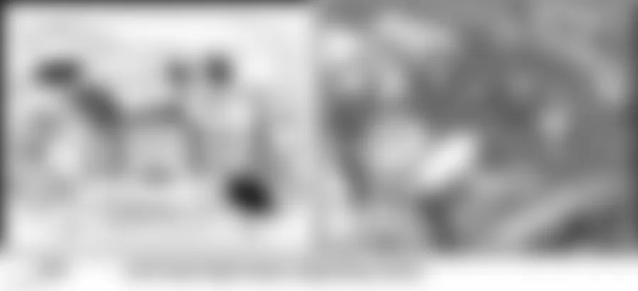 Audi allroad Quattro 2005 - Component Locations -  Left Front Of Engine Compartment