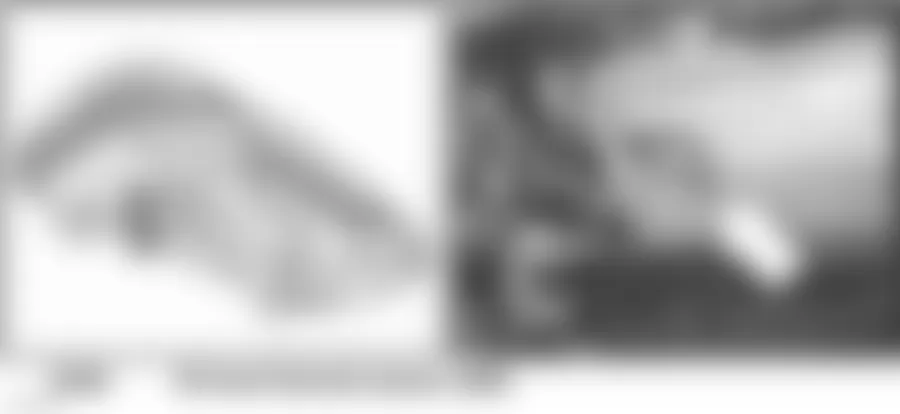 Audi allroad Quattro 2005 - Component Locations -  Under Front Of Vehicle