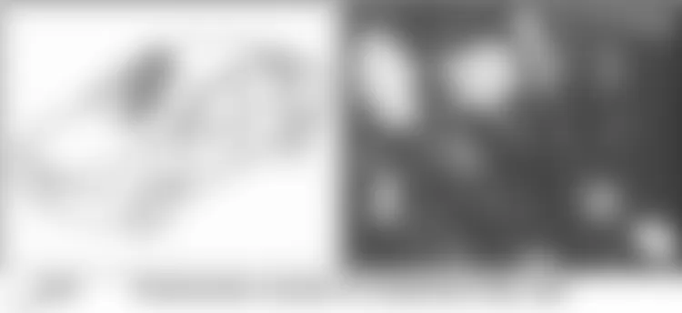 Audi allroad Quattro 2005 - Component Locations -  Under Center Of Dash