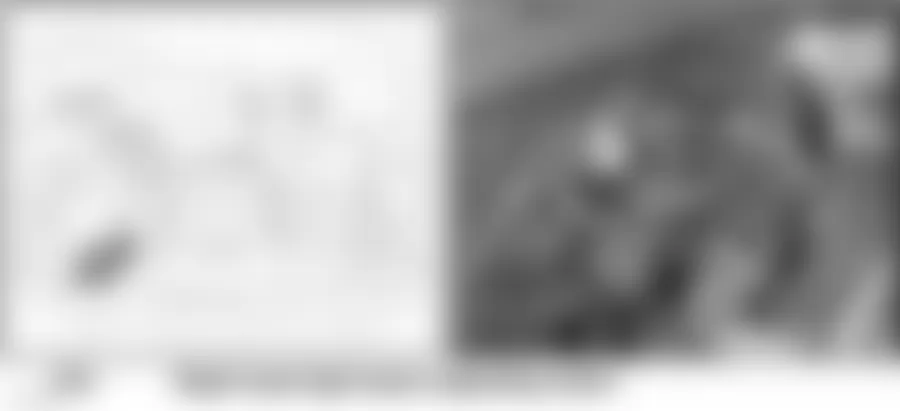 Audi allroad Quattro 2005 - Component Locations -  Right Front Of Engine Compartment