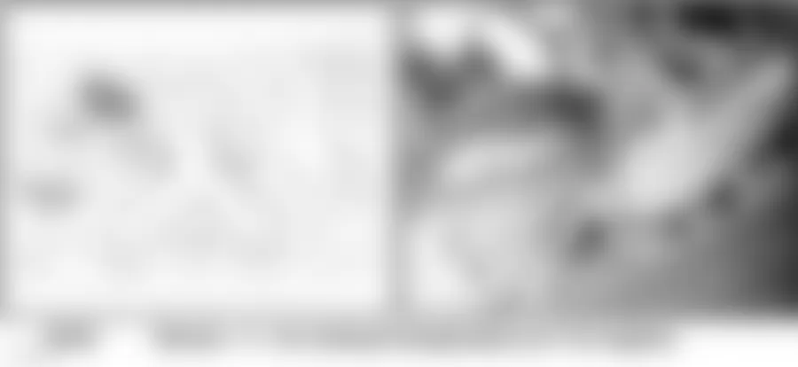 Audi allroad Quattro 2005 - Component Locations -  Rear Of Engine Compartment (2.7L)