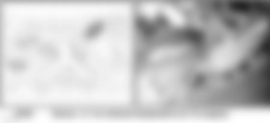 Audi allroad Quattro 2005 - Component Locations -  Rear Of Engine Compartment (2.7L)