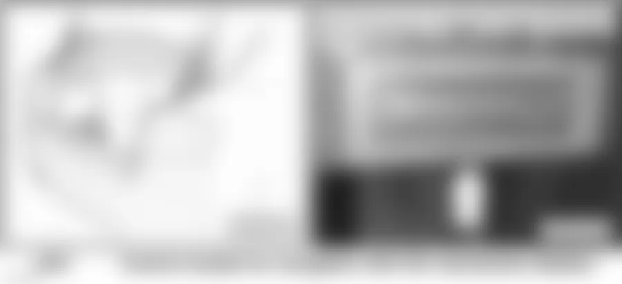 Audi A4 2006 - Component Locations -  Left Side Of Trunk (Sedan)
