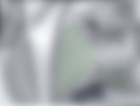 Audi A4 Quattro 2006 - Component Locations - Identifying Fuses Box Panel Cover