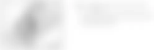 Audi A6 2009 - Component Locations -  Above Left Rear Window