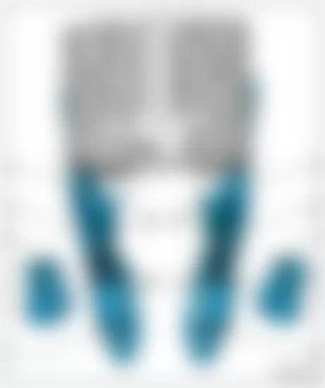 Audi A6 2009 - Component Locations -  Exhaust System Overview (5.2L)