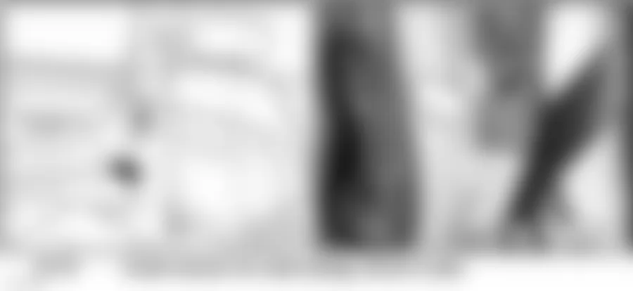 Audi A8 Quattro 2010 - Component Locations -  Left B Pillar