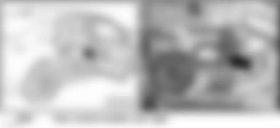 Audi A8 Quattro 2010 - Component Locations -  Right Rear Door
