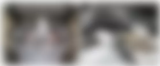 Audi Q7 3.0 TDI 2010 - Component Locations -  Left Side Of Engine (Except Diesel)
