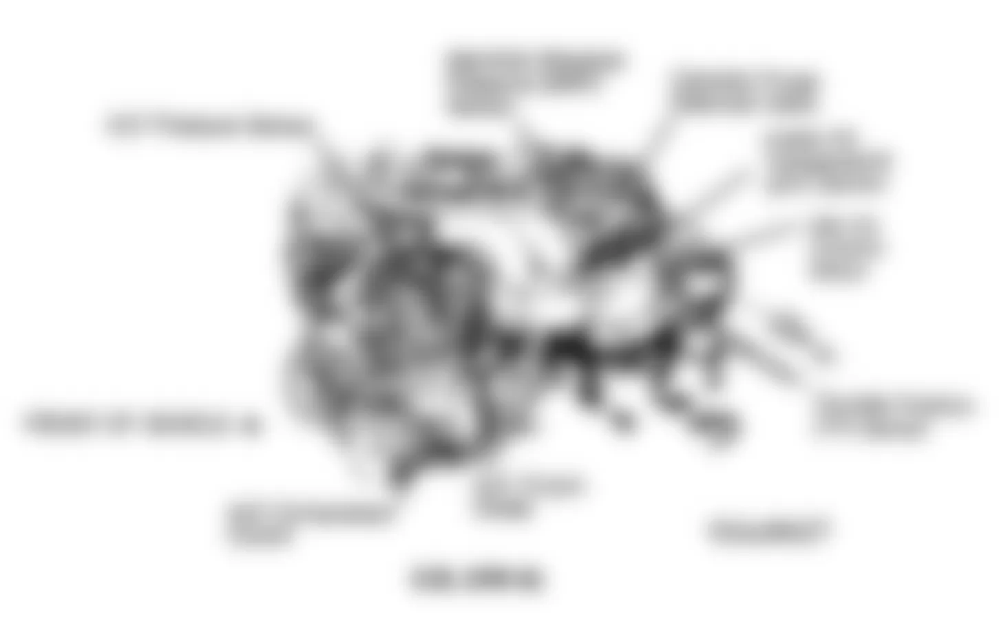 Chevrolet Corsica LT 1993 - Component Locations -  Component Locations (6 Of 6)