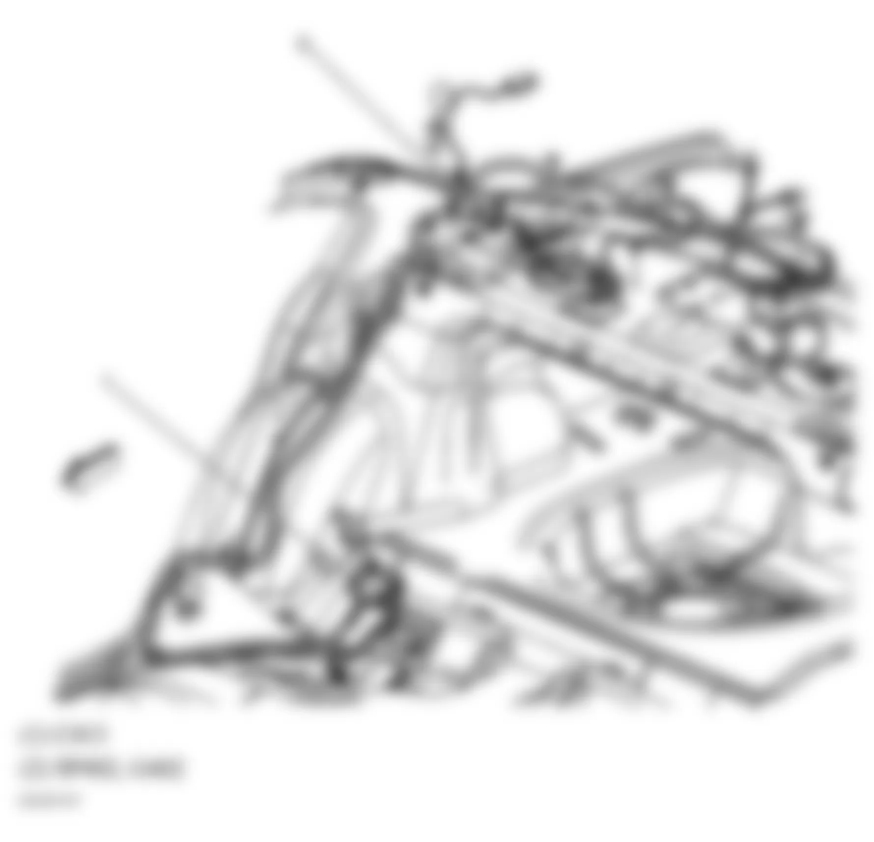 Chevrolet Classic 2005 - Component Locations -  Right Rear Of Passenger Compartment