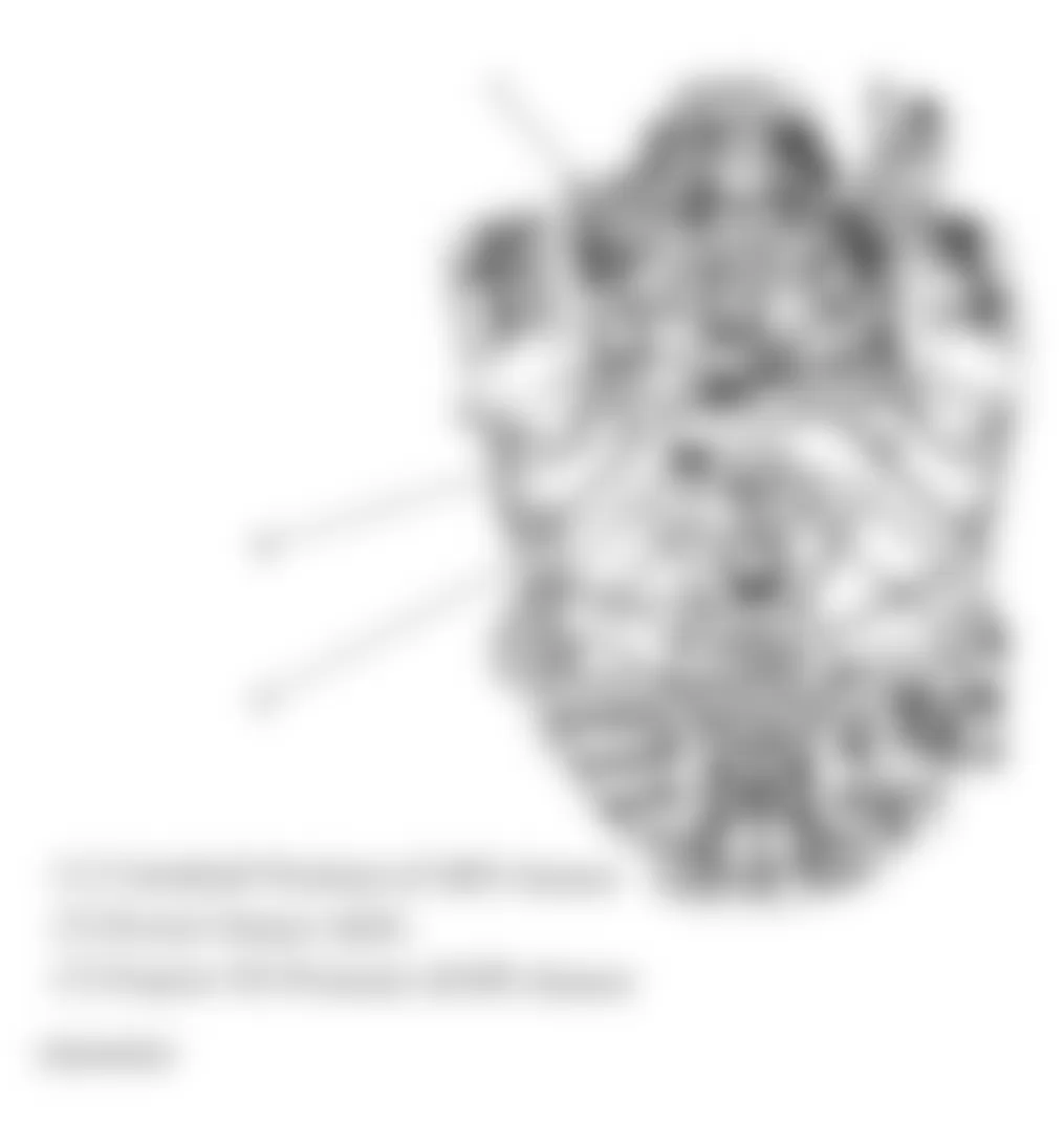 Chevrolet Silverado Classic 1500 2007 - Component Locations -  Rear Of Engine (4.3L)