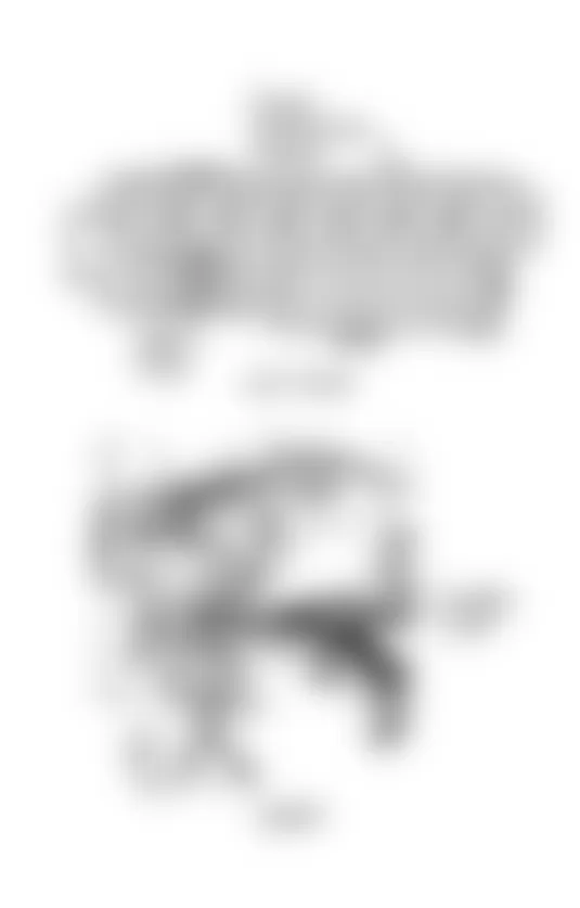 Dodge Spirit 1992 - Component Locations -  Locating SBEC Fuse & Fusible Links