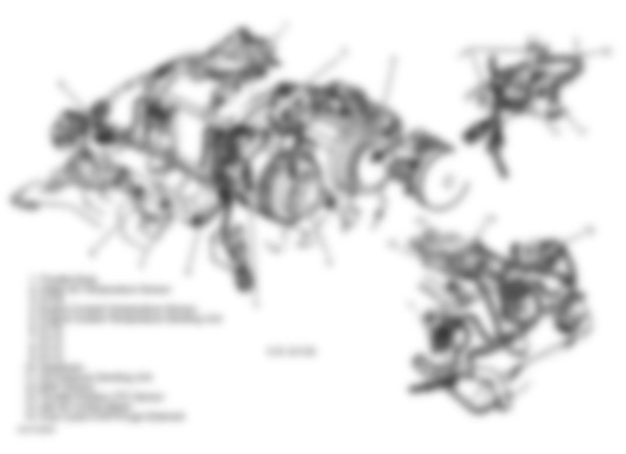 Dodge Ram Wagon B3500 1996 - Component Locations -  Engine Component Views (5.2L & 5.9L)