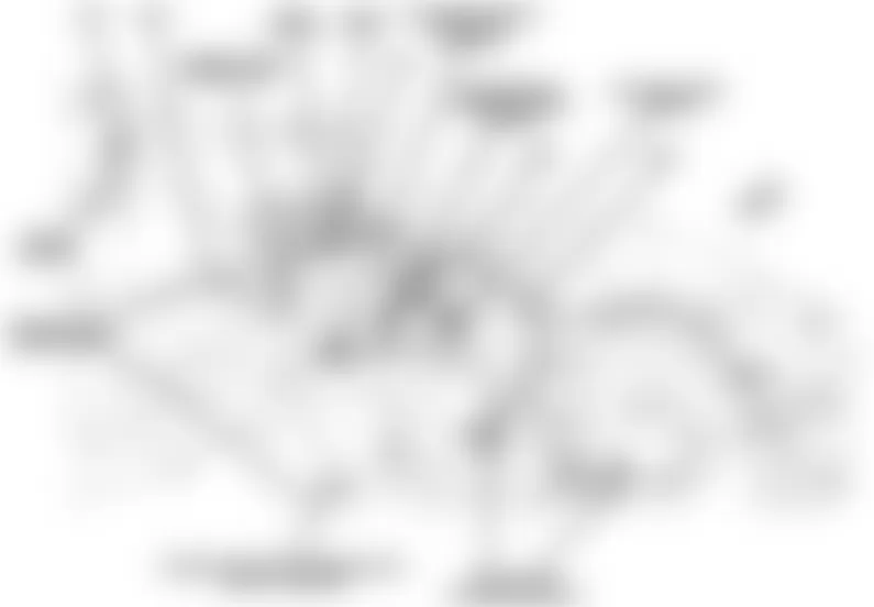 Dodge Caliber Rush 2010 - Component Locations - Front Of Engine Compartment