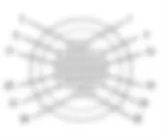 D31 - FRONT RIGHT DOOR CONNECTION ( REAR ) Fiat DOBLO 1.9 JTD 8V da 12/03 D31 - FRONT RIGHT DOOR CONNECTION ( REAR ) Fiat DOBLO 1.9 JTD 8V da 12/03