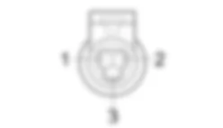 K54 - METHANE PRESSURE SENSOR ( ENGINE ) Fiat DOBLO 1.6 16v  Da 10/2000