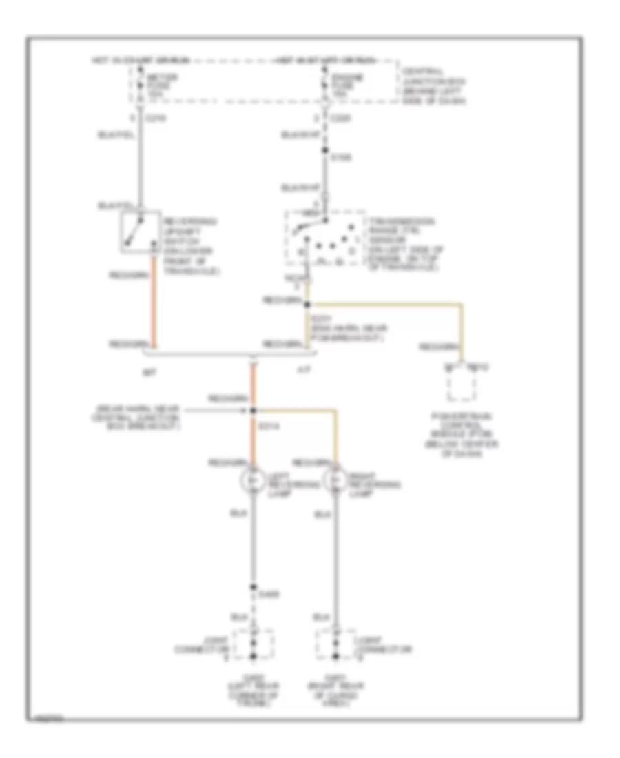 Back up Lamps Wiring Diagram for Ford Escort 2002