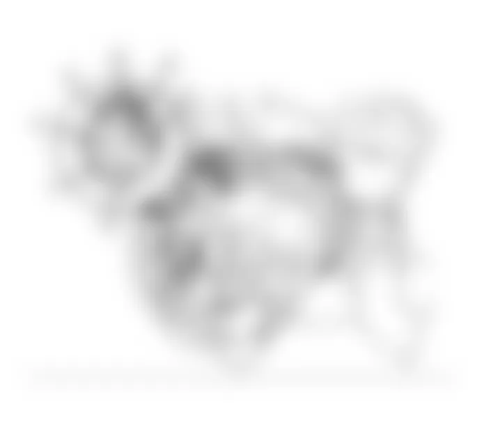 Honda Civic EX 1991 - Component Locations - TDC/CRANK/CYL Sensor Connector Terminal ID (Civic 1.6L)