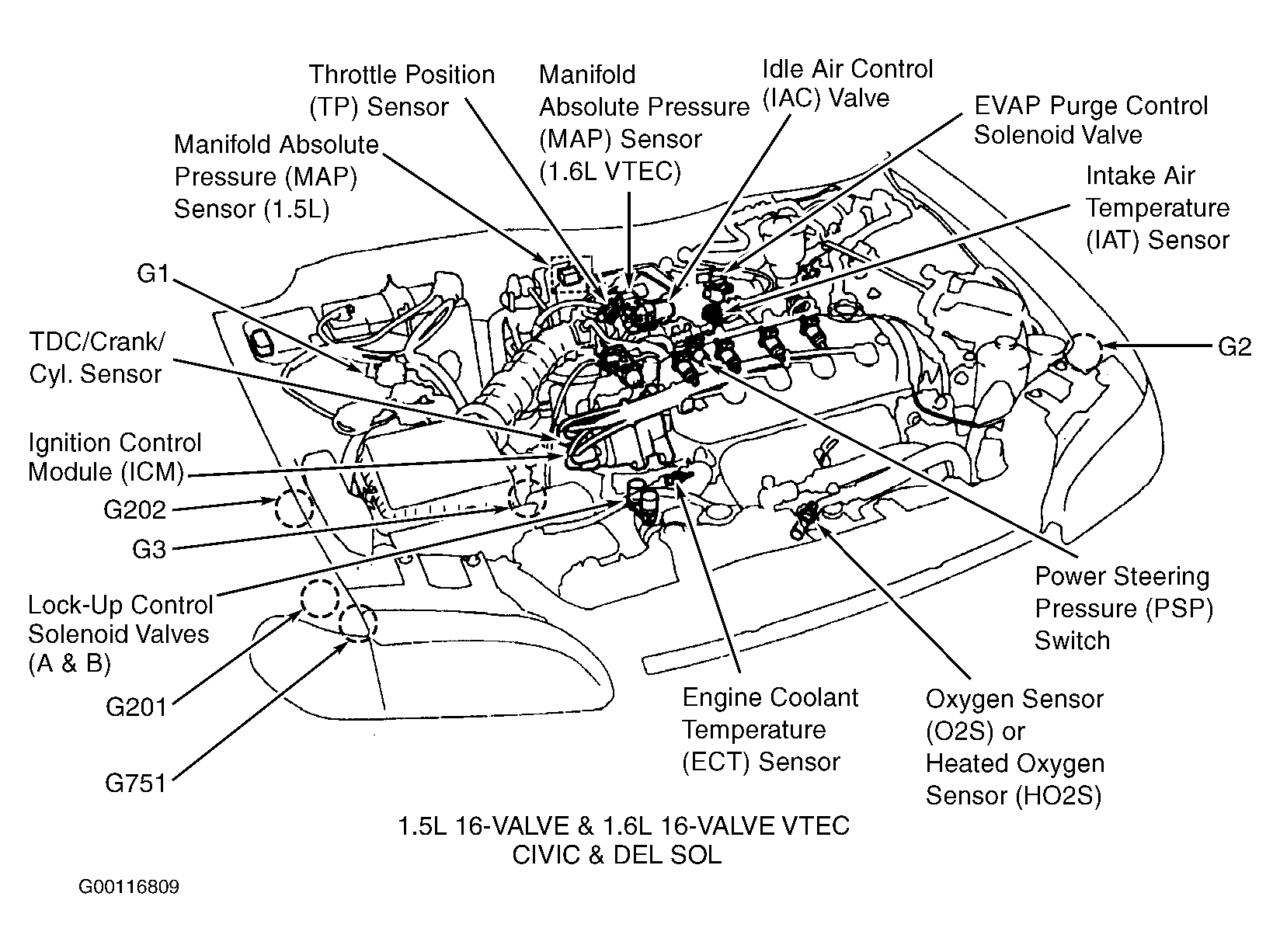 Honda Civic CX 1995 - Component Locations -  Engine Compartment (1.5L 16-Valve & 1.6L 16-Valve VTEC)