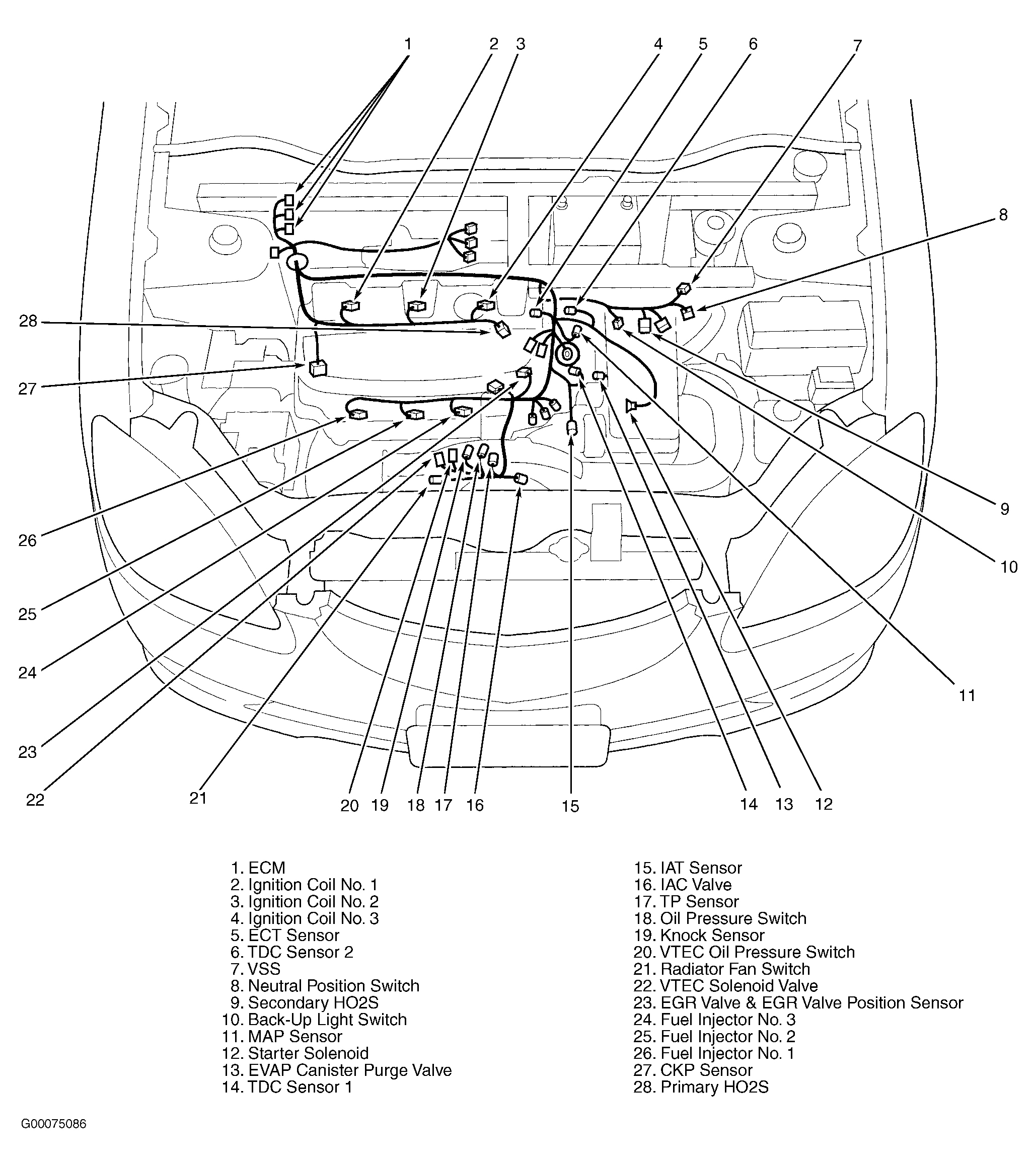 Honda Insight 2002 - Component Locations -  Engine Compartment (M/T)
