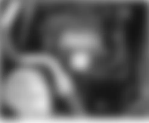 Honda Element DX 2004 - Component Locations -  Right Side Of Engine Compartment (EX)