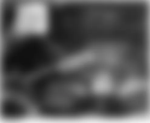Honda Element DX 2004 - Component Locations -  Front Of Engine Compartment