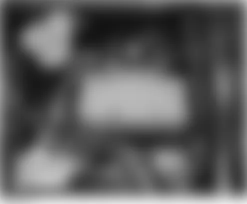 Honda Element DX 2004 - Component Locations -  Left Side Of Engine Compartment