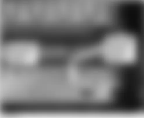 Honda Element DX 2004 - Component Locations -  Under Drivers Seat