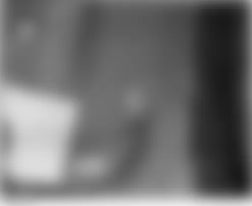 Honda Element DX 2004 - Component Locations -  Right D Pillar