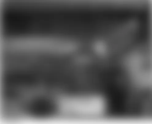 Honda Element DX 2004 - Component Locations -  Right Side Of Tailgate