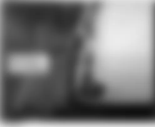Honda Element DX 2004 - Component Locations -  Behind Right Side Of Front Bumper