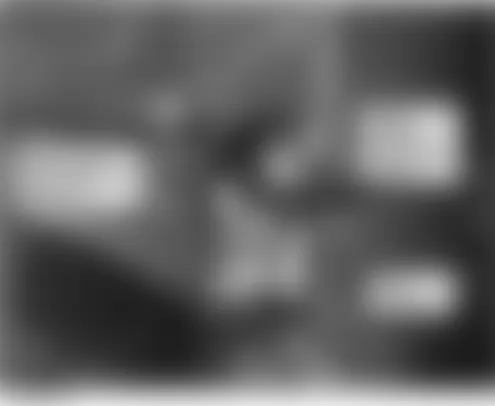 Honda Element DX 2004 - Component Locations -  Right Quarter Panel (Honda Accessory)