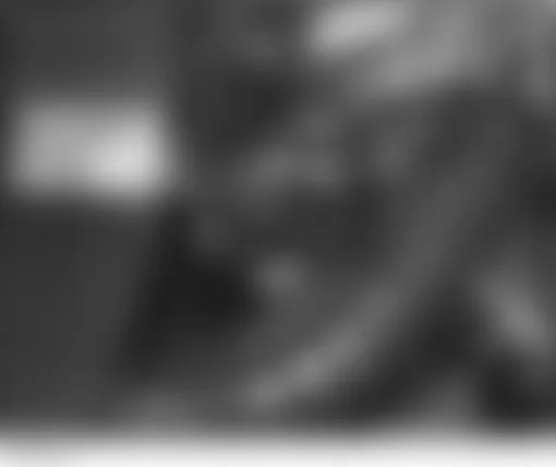 Honda S2000 2004 - Component Locations -  Left Side Of Engine Compartment