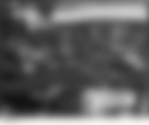 Honda S2000 2004 - Component Locations -  Left Front Of Engine