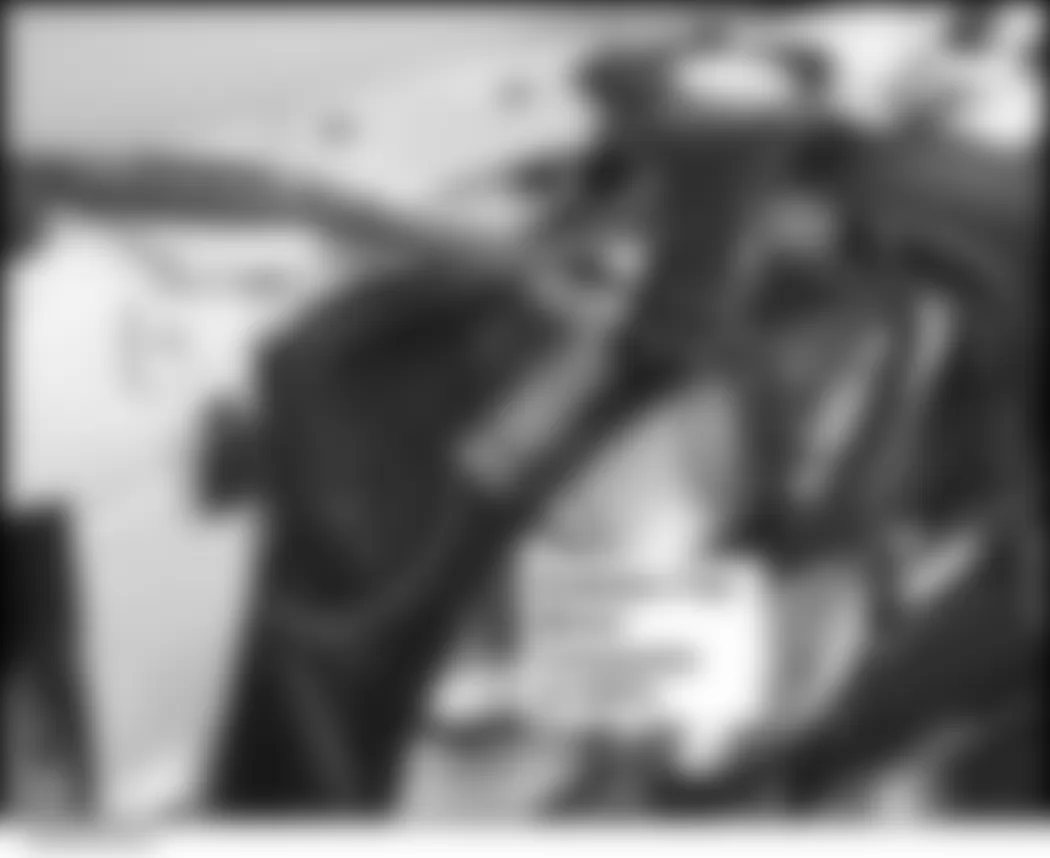 Honda Civic Hybrid 2006 - Component Locations - Front Of Engine Compartment