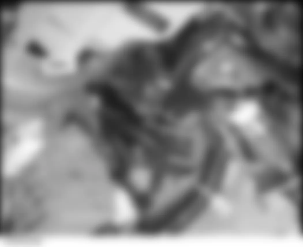 Honda Civic Hybrid 2006 - Component Locations - Under Left Side Of Dash