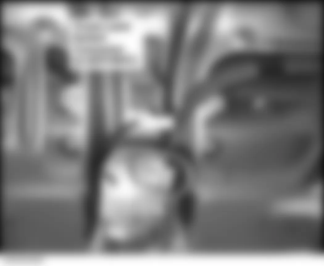 Honda Civic Hybrid 2006 - Component Locations - Middle Of Trunk Lid